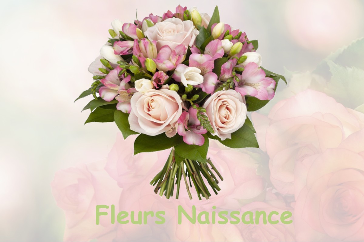 fleurs naissance FRESNOY-LES-ROYE